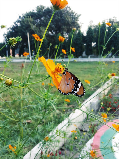Photo 1 of Bhola Prasad Singh College