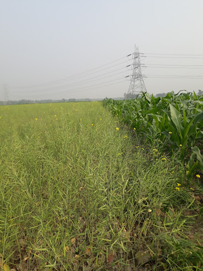 Photo 1 of Department of Agriculture