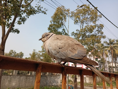 Photo 1 of Rajbanshi Nagar Market