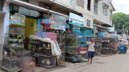 Photo 1 of Bird Market Patna